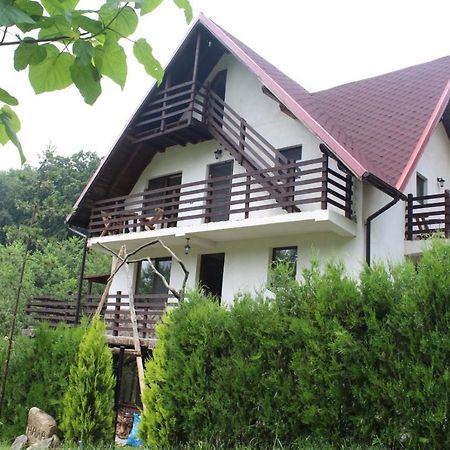Havva Hotel Calimanesti Ngoại thất bức ảnh