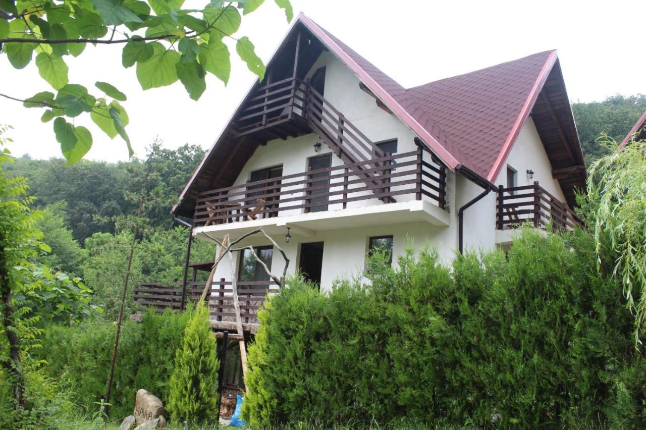 Havva Hotel Calimanesti Ngoại thất bức ảnh