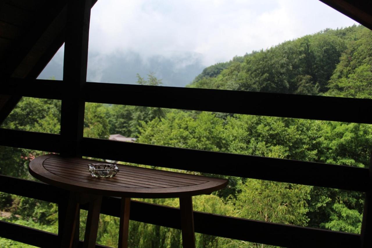 Havva Hotel Calimanesti Ngoại thất bức ảnh